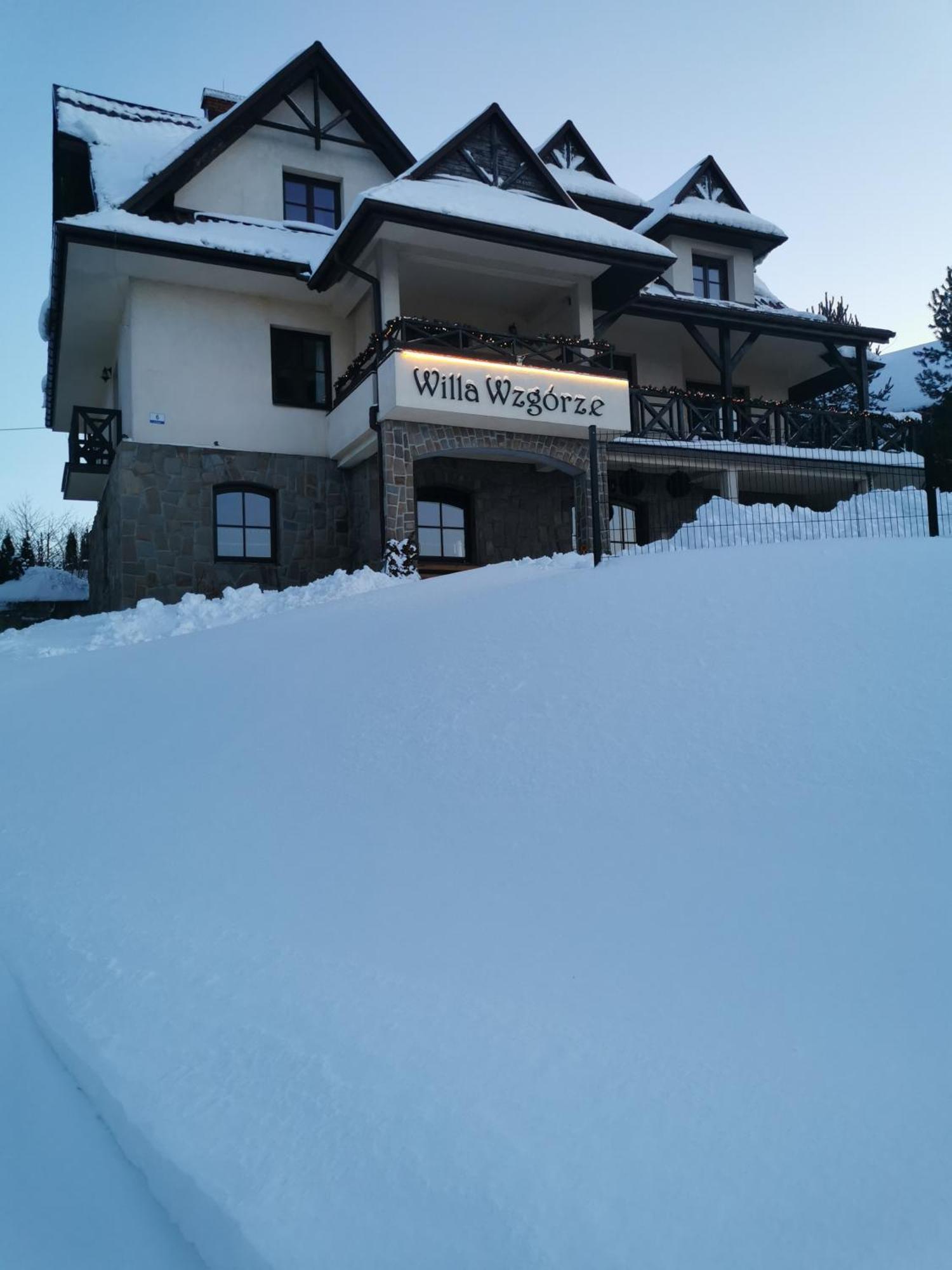 Willa Wzgorze 涅兹卡城堡 外观 照片