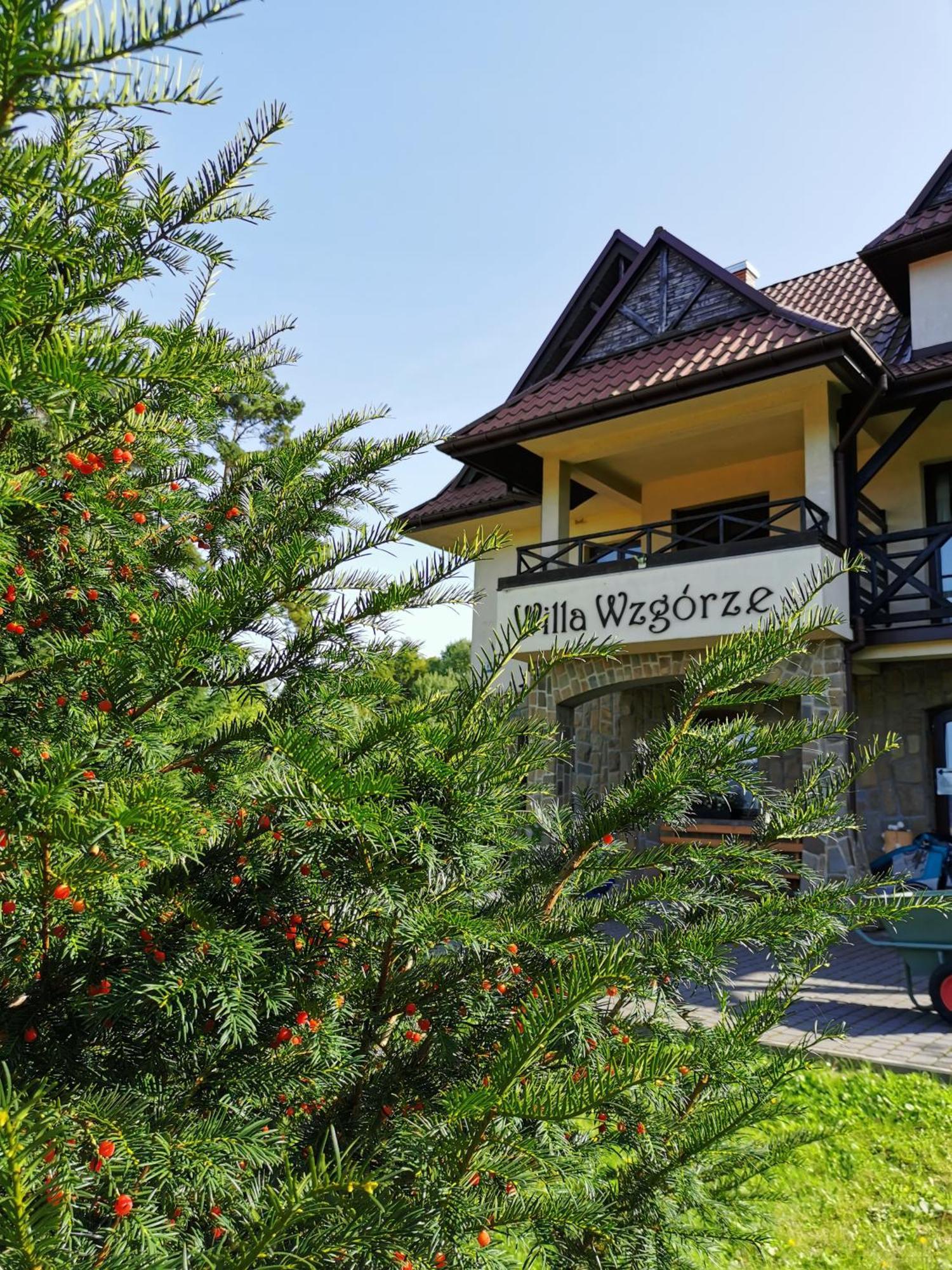 Willa Wzgorze 涅兹卡城堡 外观 照片